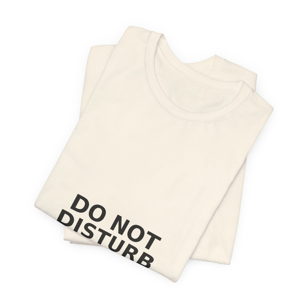 Do Not Disturb / Recharging - Funny Introvert Gift Tee
